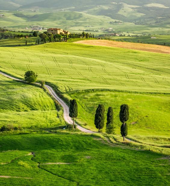Green valley at sunset in Tuscany