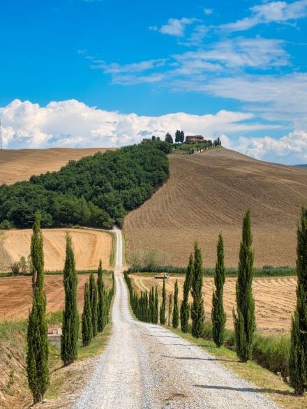 Tuscany: the road to Torre a Castello